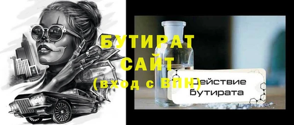 крисы Каменка