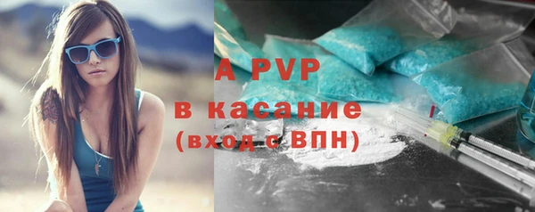 крисы Каменка