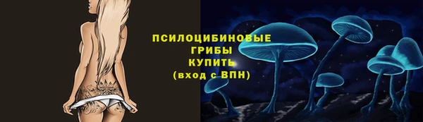 мяу мяу мука Каменногорск
