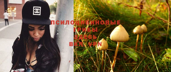 мяу мяу мука Каменногорск