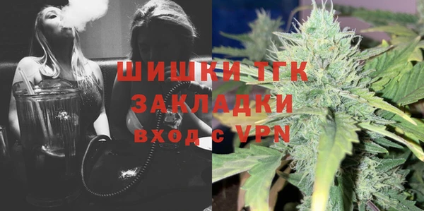 крисы Каменка