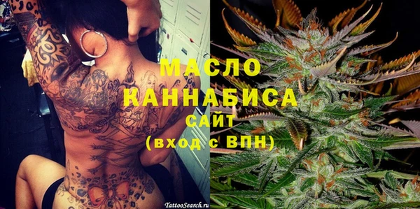 крисы Каменка