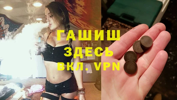 крисы Каменка