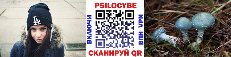 Псилоцибиновые грибы MAGIC MUSHROOMS  Купить  Богородск 