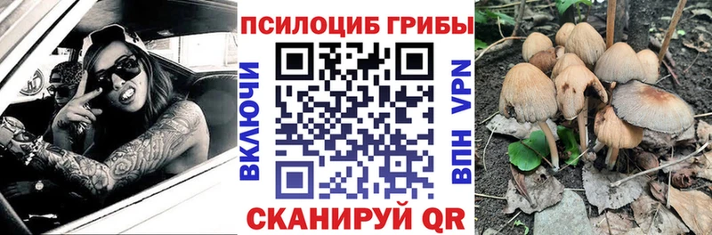 Псилоцибиновые грибы GOLDEN TEACHER Богородск