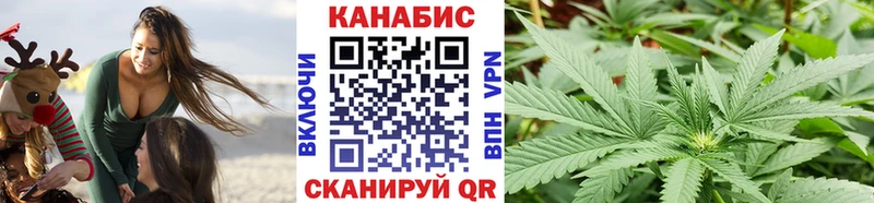 Конопля план  Купить  Богородск 